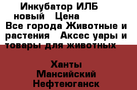 Инкубатор ИЛБ-0,5 новый › Цена ­ 35 000 - Все города Животные и растения » Аксесcуары и товары для животных   . Ханты-Мансийский,Нефтеюганск г.